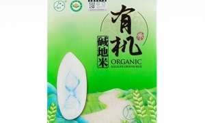 東北大米為啥這么好？